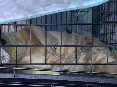 Sealed and Delivered!