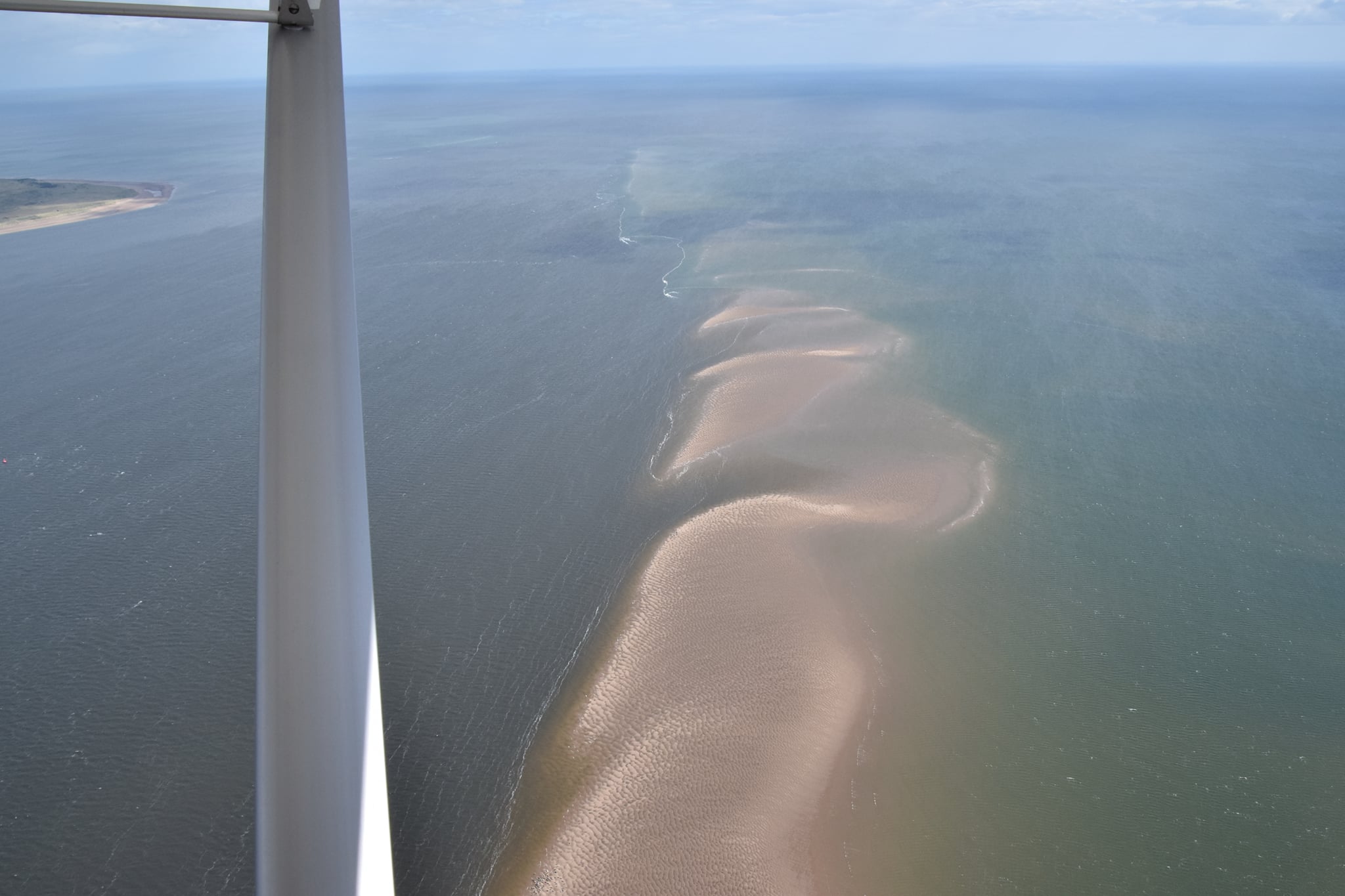 Aerial Survey