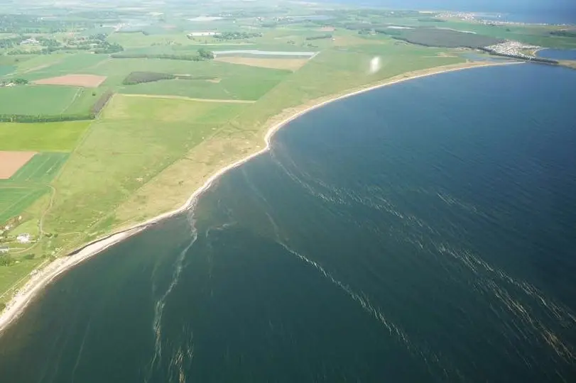 Aerial Survey