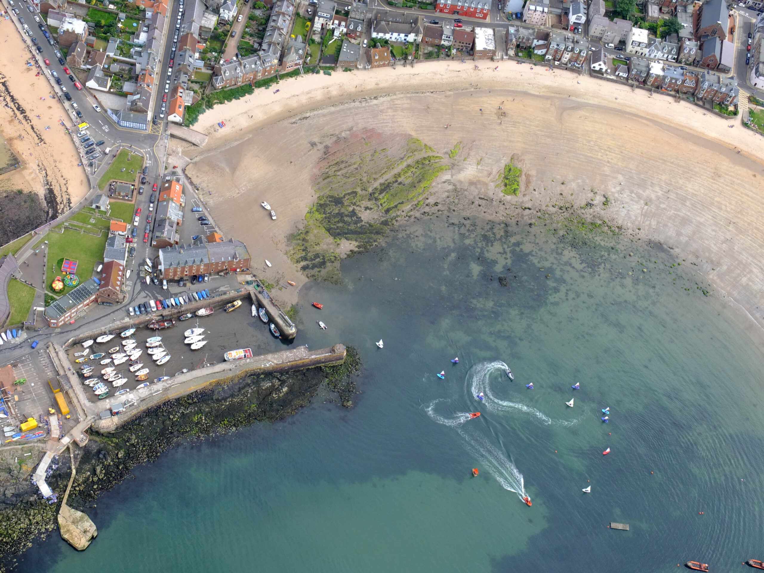 Aerial Survey