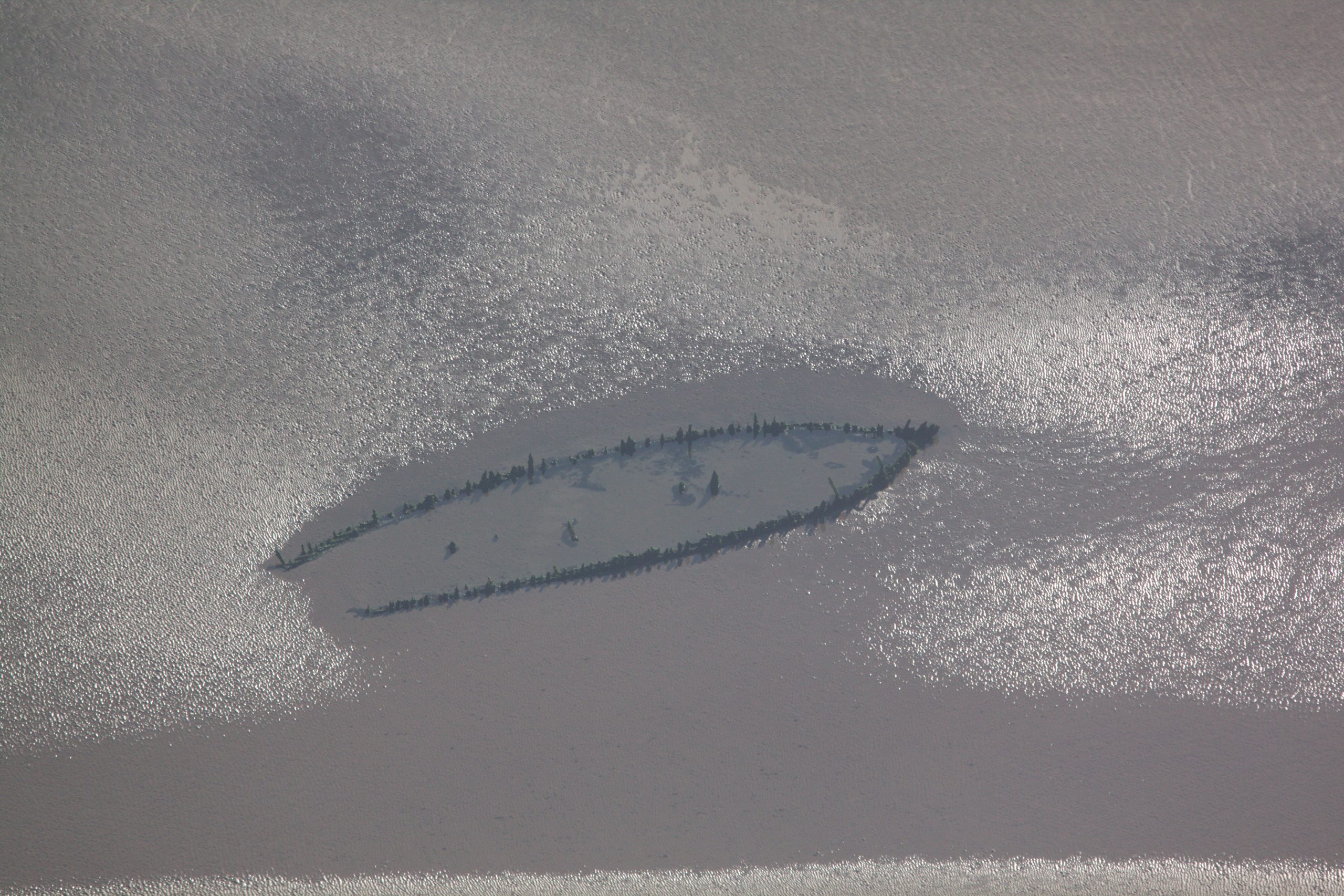 Boat Skeleton on Forth