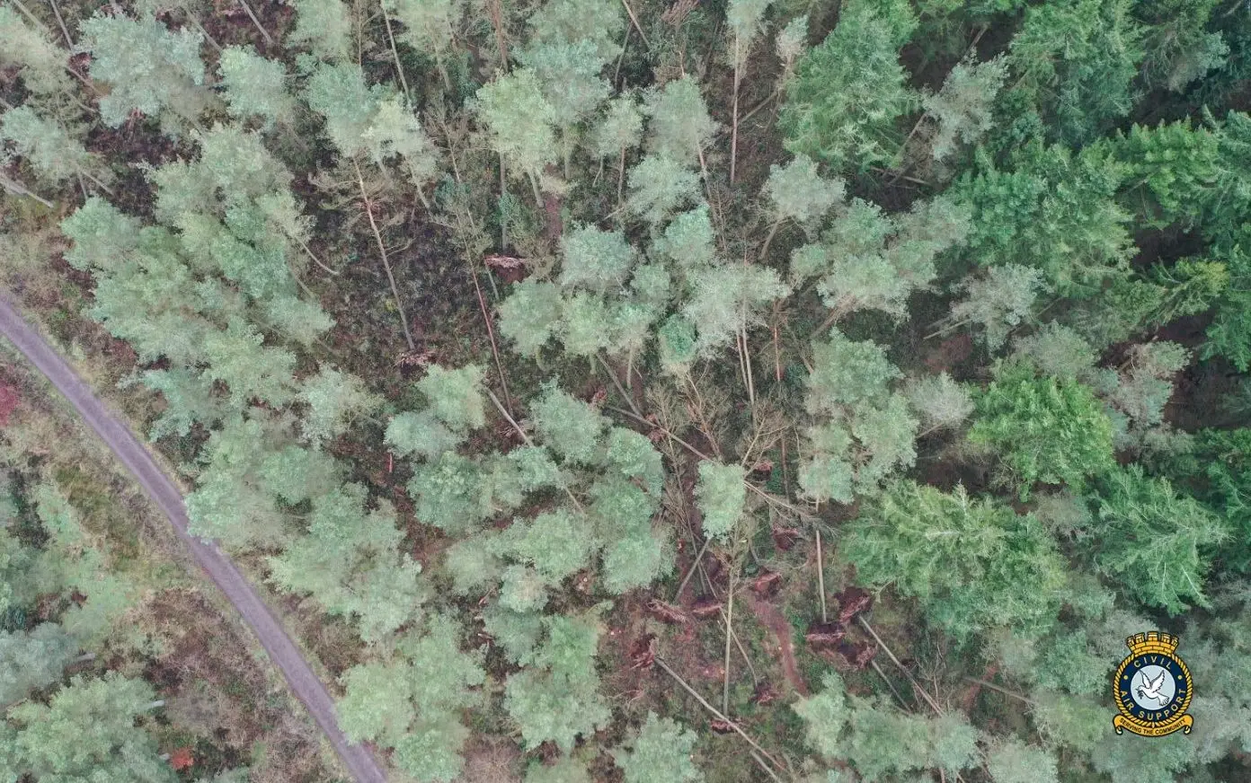 Woodland Storm Damage 2
