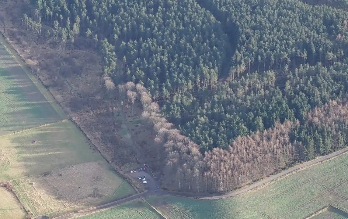 Woodland Storm Damage 1