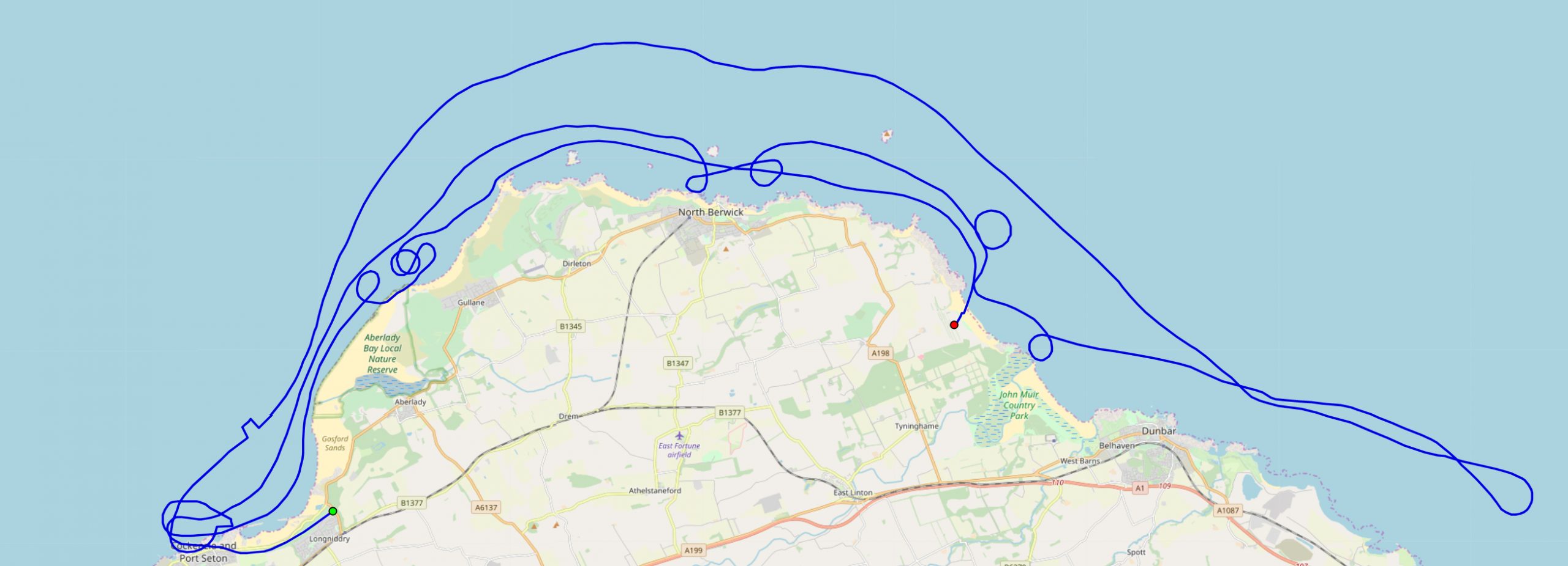 Whale Search Track