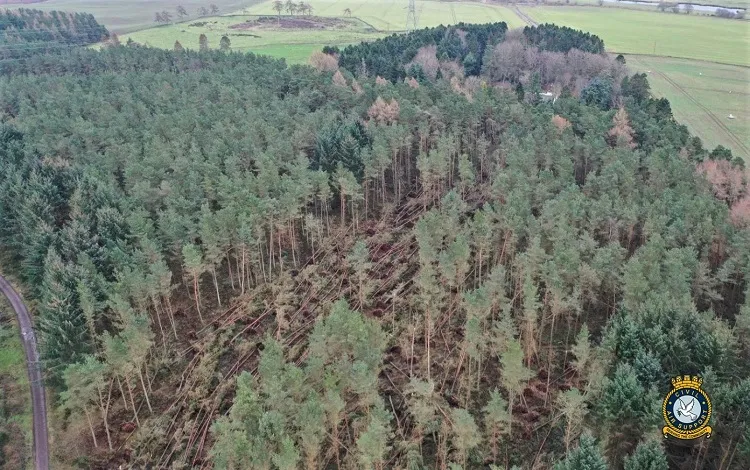 CAS Offer Woodland Surveys As Dudley And Eunice Wreak Havoc